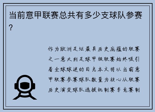 当前意甲联赛总共有多少支球队参赛？